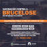 brucelose_1_.png