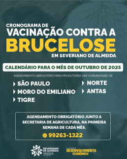 brucelose.png