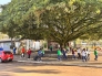 WhatsApp_Image_2026_05_27_at_12.33.34.jpeg