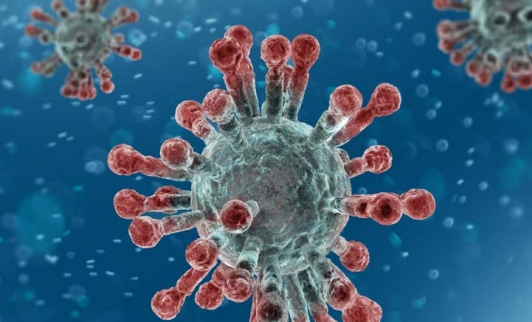 coronavirus11.jpg